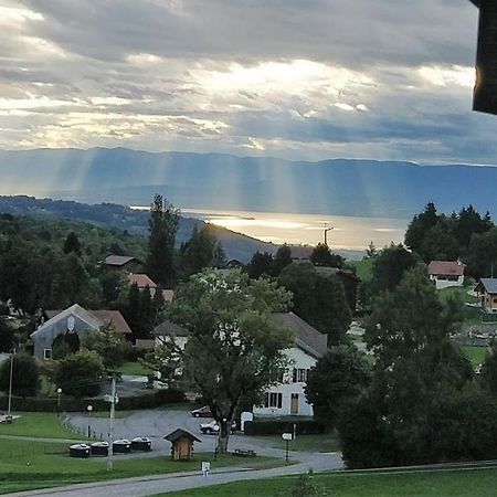 Balcony Of Lake Geneva Thollon-les-Memises Екстериор снимка